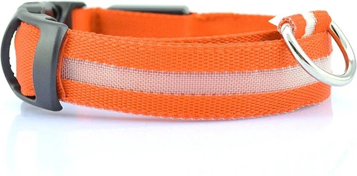 WVspecials Halsband voor hond met led verlichting Oranje - Maat L (41-52cm) - lichtgevende hondenhalsband - Black Friday - Sinterklaas - Kerst