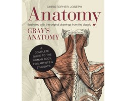 Anatomy