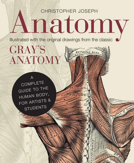 Anatomy - cover