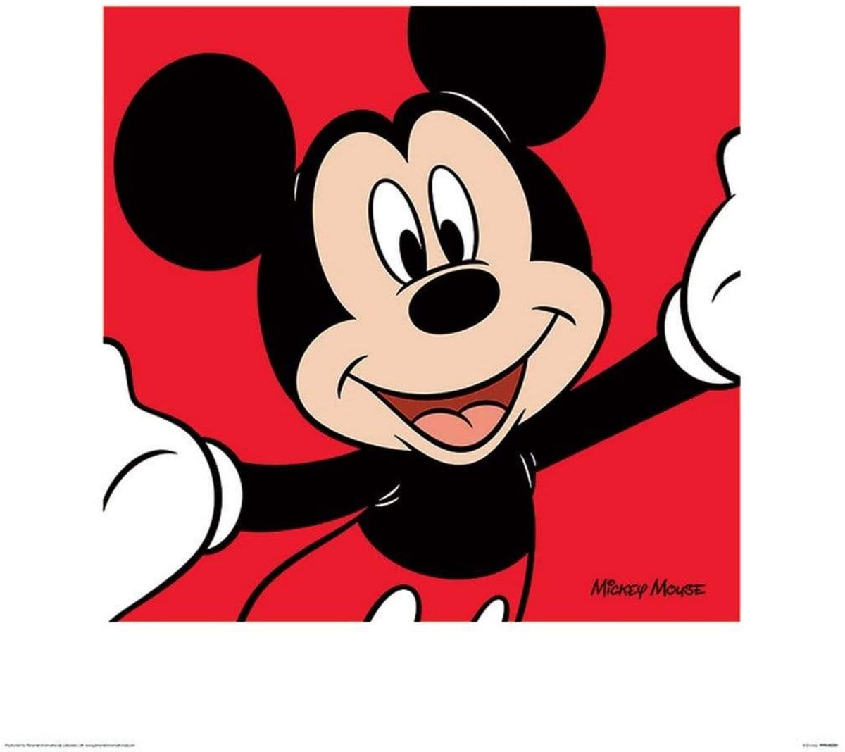 Pyramid Kunstdruk Mickey Mouse - Red 40x40cm Divers