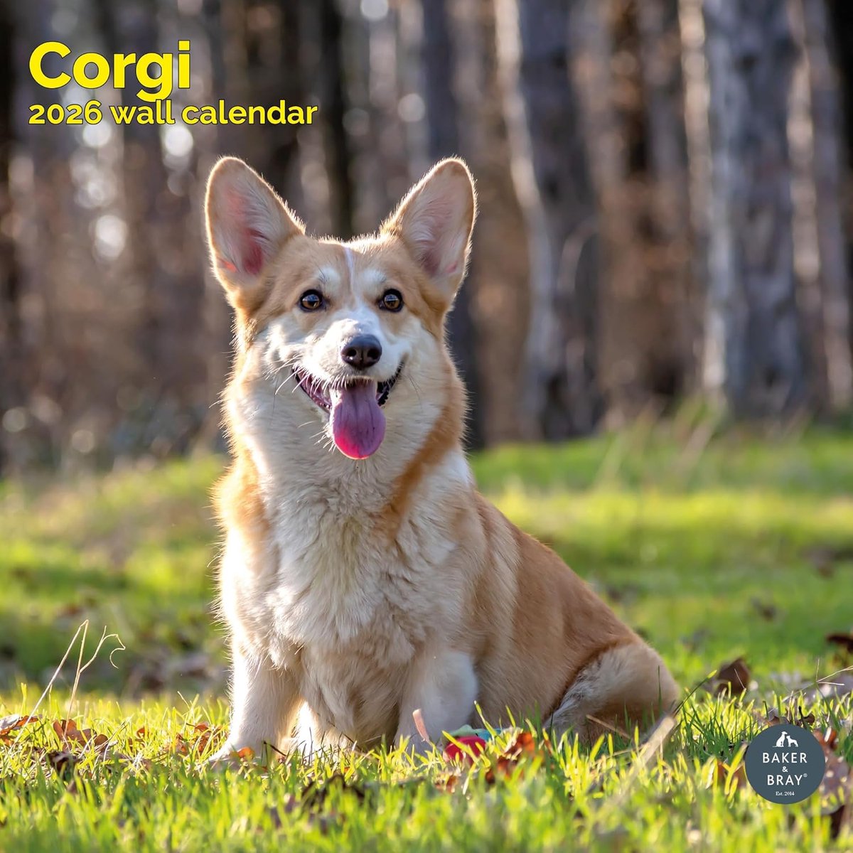 Welsh Corgi Kalender 2027