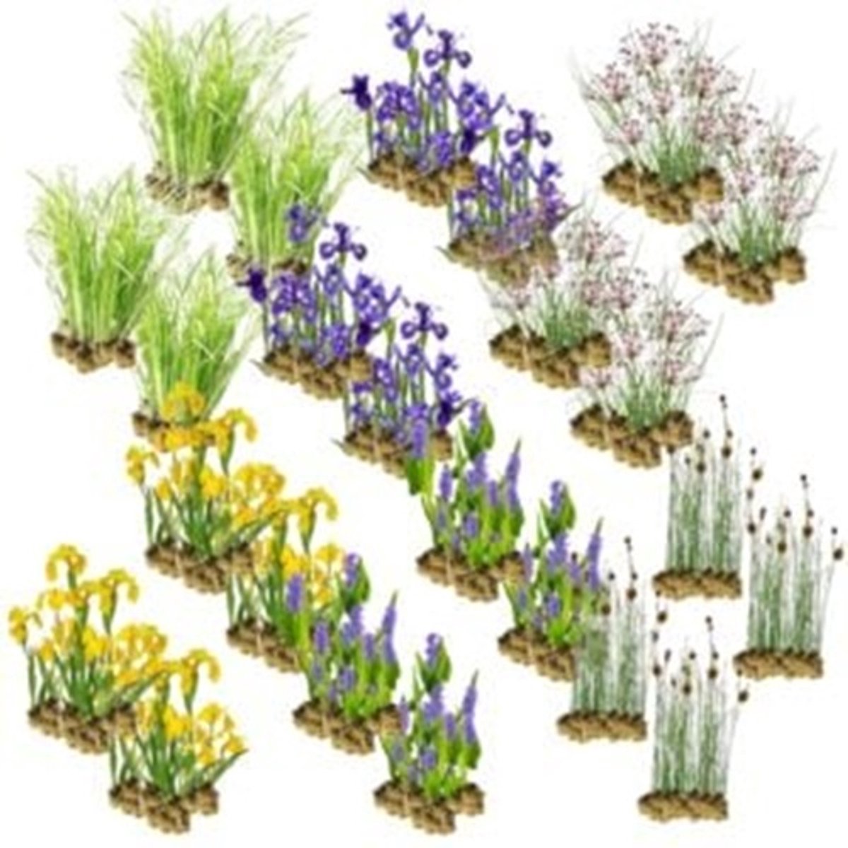 Wadi Planten Pakket – 16-24 m² – 360 winterharde filter- & moerasplanten – waterzuiverend & biologisch evenwicht – plantenfilter voor vijver of wadi