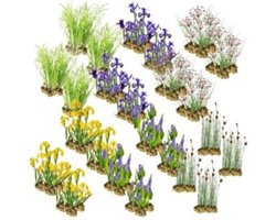 Wadi Planten Pakket – 16-24 m² – 360 winterharde filter- & moerasplanten – waterzuiverend & biologisch evenwicht – plantenfilter voor vijver of wadi