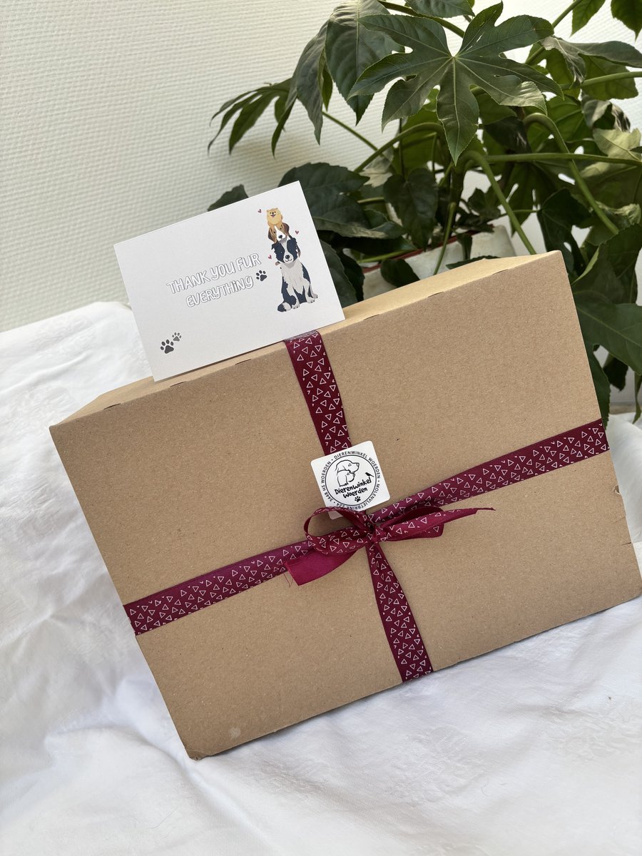 Petsnacks & more Honden snack cadeau box - Snackbox L - Grote hond adult - Natuurlijke ingrediënten