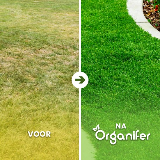 Een gazon voor en na behandeling. Het "voor" gazon is geel en dor, het "na" gazon is weelderig en groen.