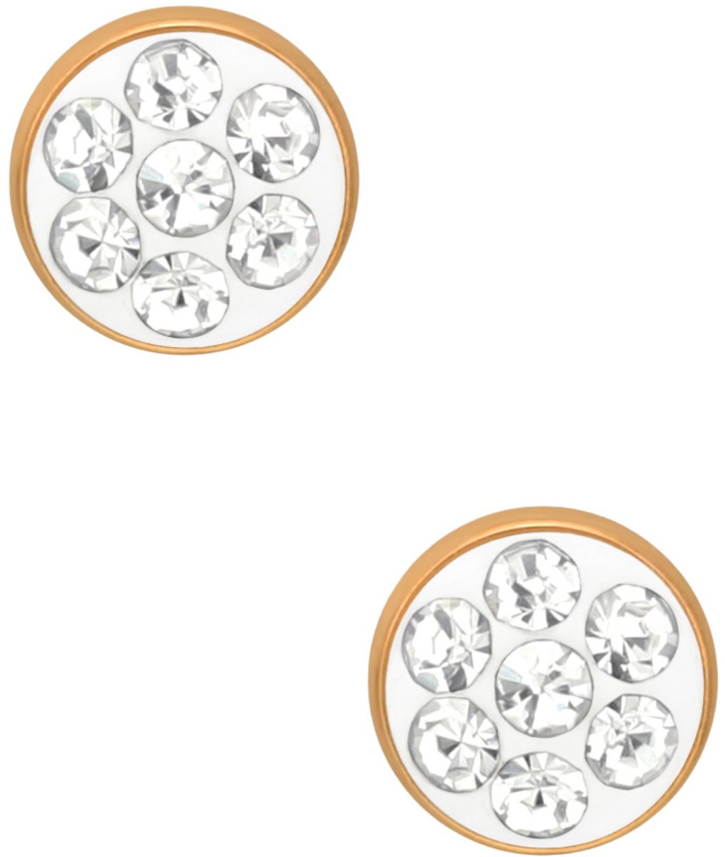 Roségoud Chirurgisch Staal Ronde 4 mm Oorstekers met Kristal