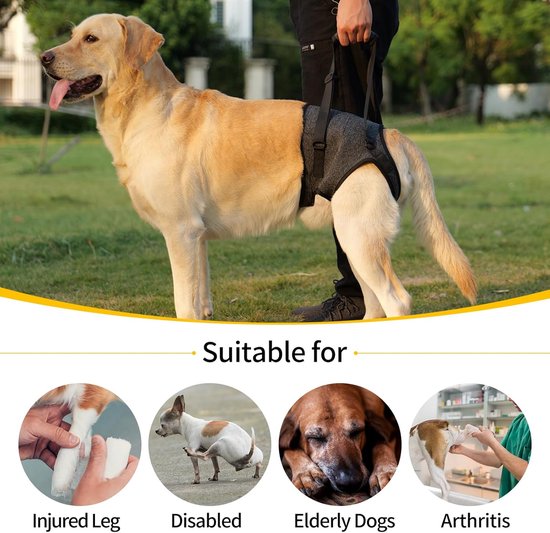 PETCUTE Hondendraagharnas, hondenharnas, rugzak voor grote honden, full-body harnas met handvat, verstelbare hondenrugzak voor oude, gewrichtsblessures, artritis-honden, geschikt voor 7,5 tot 15 kg