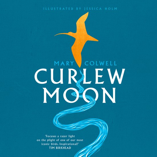 Curlew Moon - cover