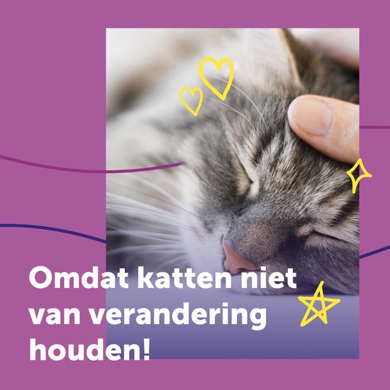 Een man streelt een slapende kat. "Omdat katten niet van verandering houden!".