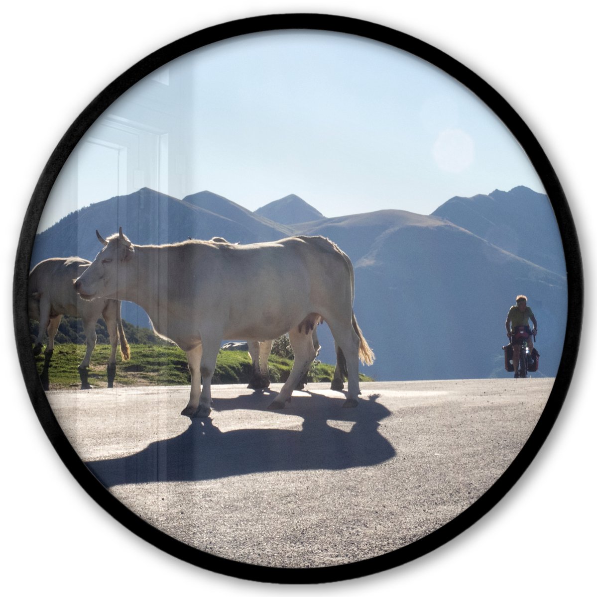 FrameYourWall Poster in lijst Rond - Fotolijst 40x40 cm - Posters - Schotse hooglander - Licht - Berg - Natuur - Ronde posterlijst zwart - Decoratie - Wanddecoratie woonkamer - Muurdecoratie slaapkamer Koe - Bergen