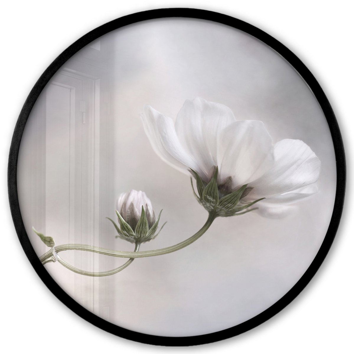 FrameYourWall Poster in lijst Rond - Fotolijst 40x40 cm - Posters - Bloemen - Stilleven - Natuur - Grijs - Ronde posterlijst zwart - Decoratie - Wanddecoratie woonkamer - Muurdecoratie slaapkamer Multicolor