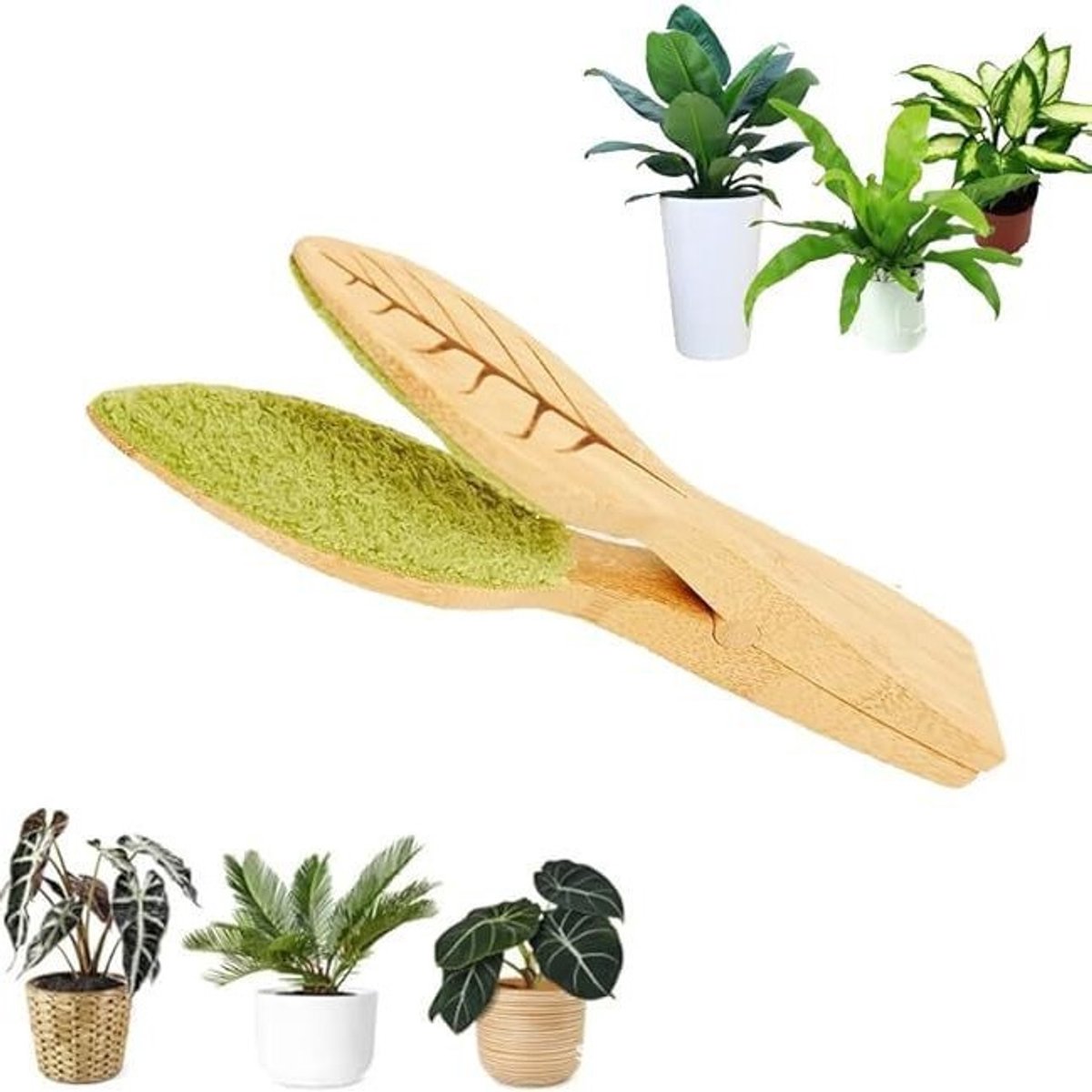1 x Reinigingsborsteltjes rager - Bodemreinigers - Handmatige Groene Planten Borstel - met Ergonomisch Handvat - voor binnen、 buitentuinen(24 x 4cm)