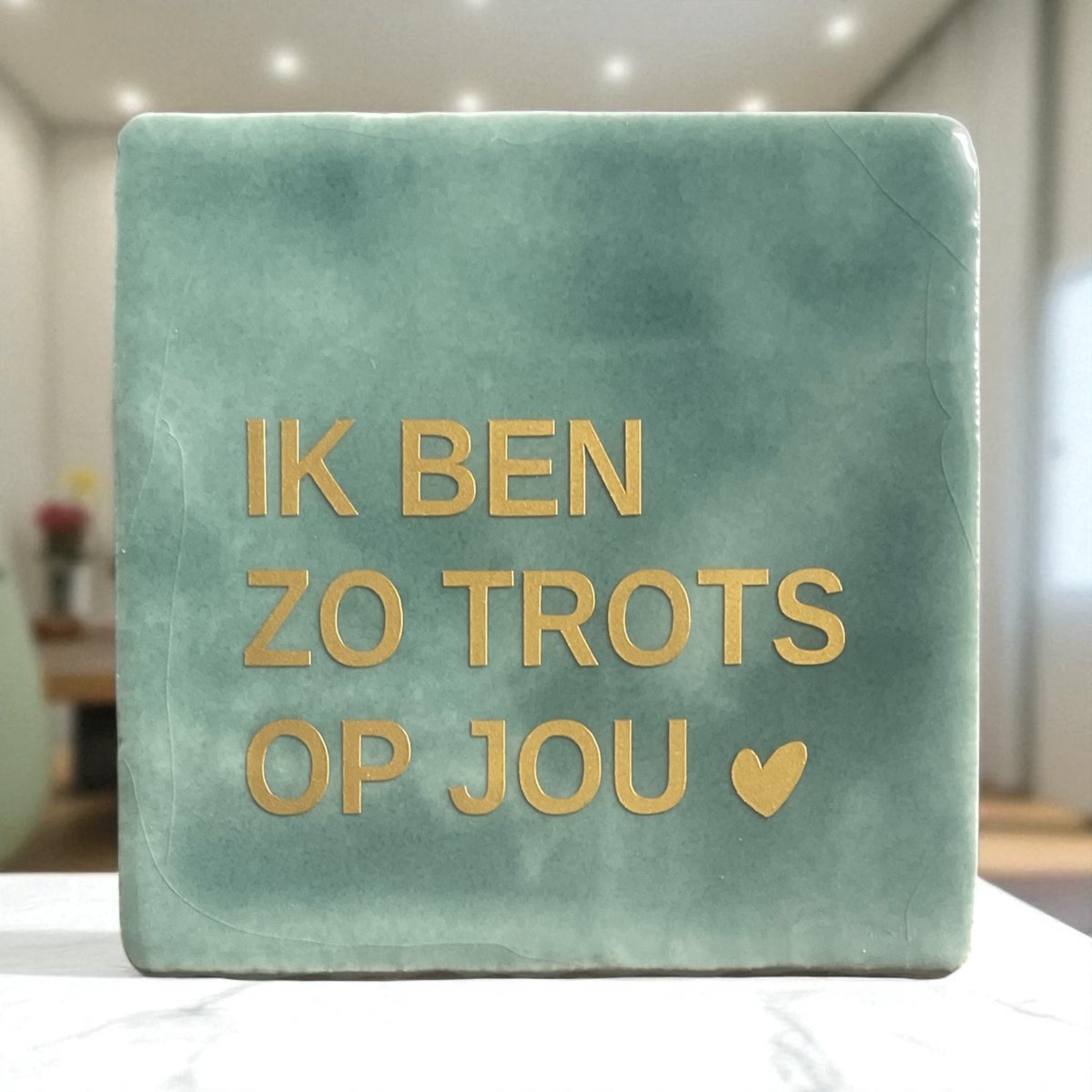 Hip tegeltje met tekst-Ik ben zo Trots op jou-Turquoise-Spreuk-Cadeau-Geschenk-Gift-Kado-Geslaagd-Aardigheidje-Zomaar