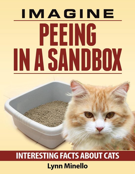 Imagine Peeing In a Sandbox - Interesting Facts About Cats - cover