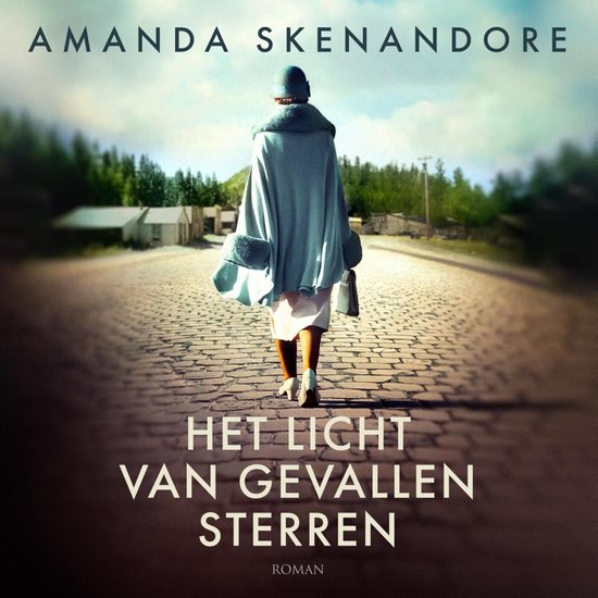 Het licht van gevallen sterren - cover
