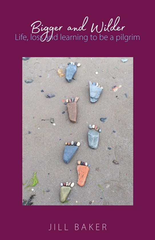 Bigger and Wilder - cover