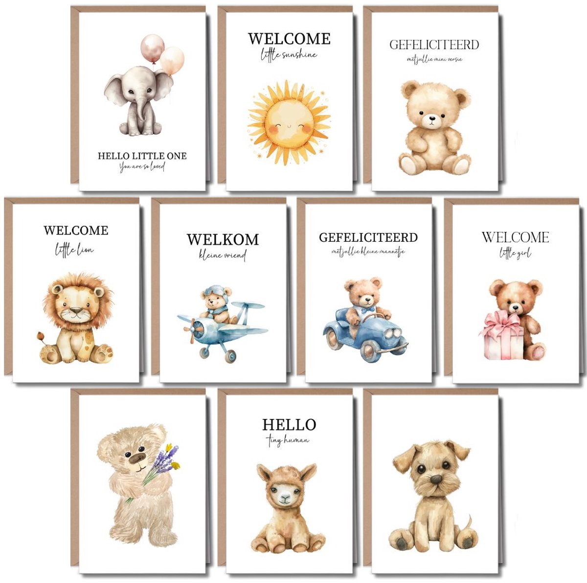 10 Luxe Wenskaarten Geboorte met Enveloppen - Geboortekaartjes - A6 - Blanco - Felicitatie - Dieren - Zon