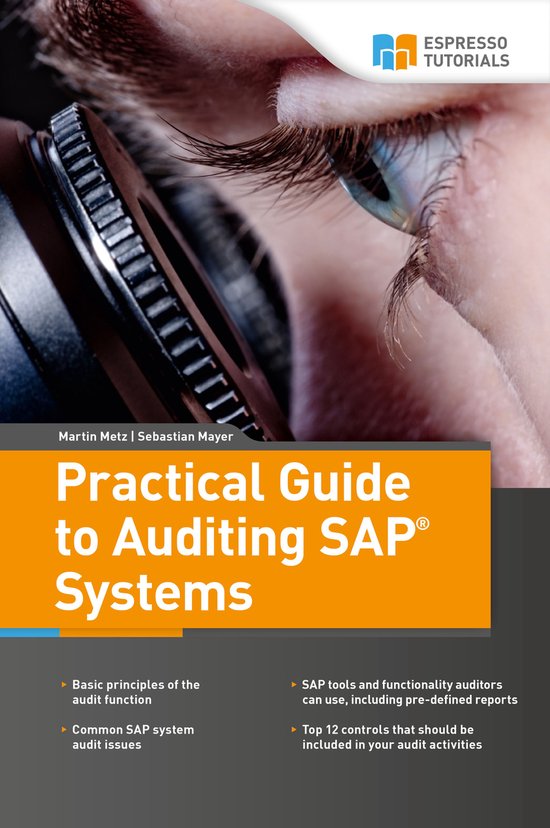 Practical Guide to Auditing SAP Systems - cover