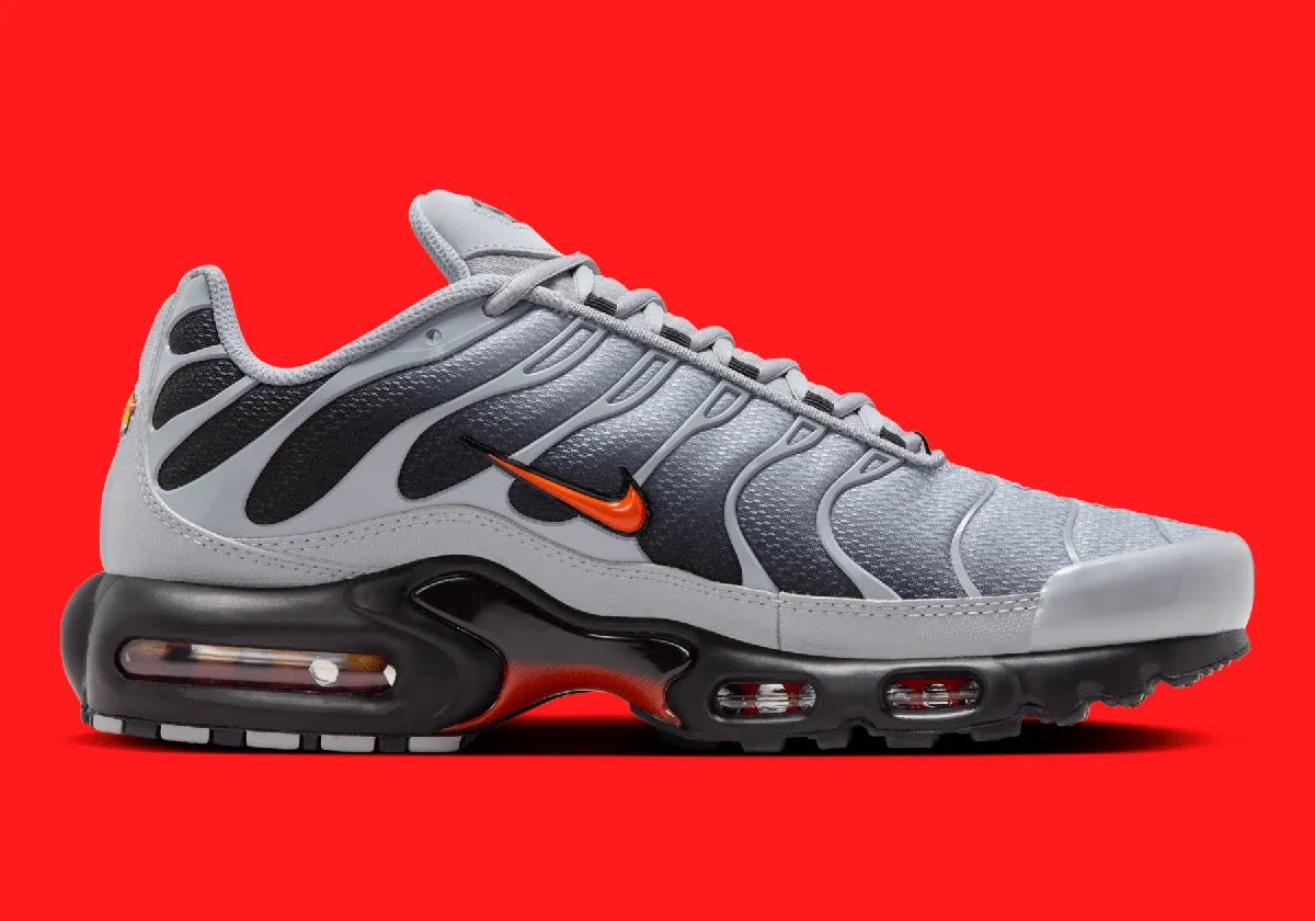 Sneakers Nike Nike Air Max Plus �Wolf � Grijs