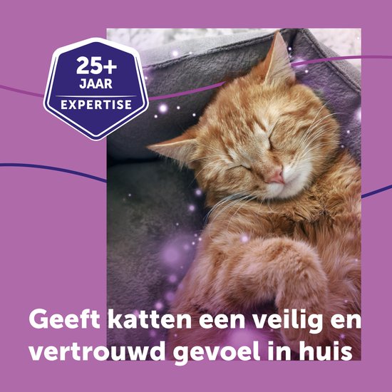 Slapende oranje kat op een grijze deken. Tekst: 25+ jaar expertise.
