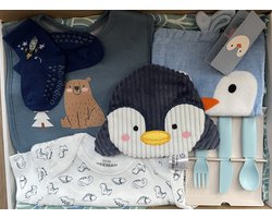 Babygeschenkdoos-Kraamcadeau-brievenbuspakket-Origineel Verrassings Kraampakket – Babyshowercadeau -jongens-Uniek & Persoonlijk voor elke Kraamvrouw!