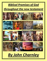 Biblical Promises of the New Testament (2nd ed)