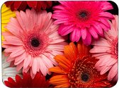 Muismat Rubber - Hoge kwaliteit foto van bloemen - Muismat op polyester bedrukt - 25 x 19 cm - Anti-slip muismat - 5mm dik - Muismat met foto - heerlijk voor op je bureau