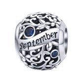 Geboortesteen maand September bedel | Donker blauw zirkonia | bedels beads cadeau | Zilverana | geschikt voor Biagi , Pandora , Trollbeads armband | 925 zilver