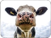 Muismat Koe Rubber - Hoge kwaliteit foto van koe muismat op polyester bedrukt - 25 x 19 cm - Anti-slip muismat - 5mm dik - Muismat met foto - heerlijk voor op je bureau