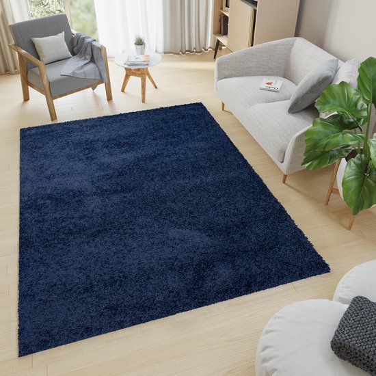 Un tapis bleu foncé à poils longs dans un salon avec un canapé, une chaise et une plante.