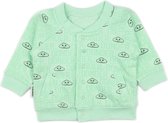 Donder | Jasje | Vestje | Omkeerbaar | Name | Mint Groen