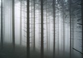 Vliesbehang Bomen in de Mist XXL – fotobehang – 368 x 254 cm – Zwart Wit