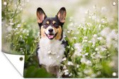 Posters de jardin extérieur Chien - Fleurs - Corgi - 90x60 cm - Toile jardin - Affiche extérieur