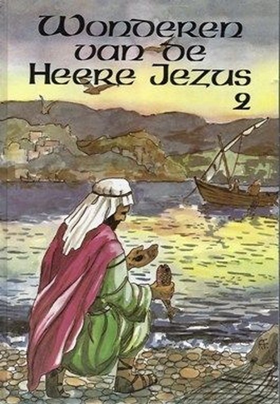 9789033602085 - Wonderen van de heere jezus