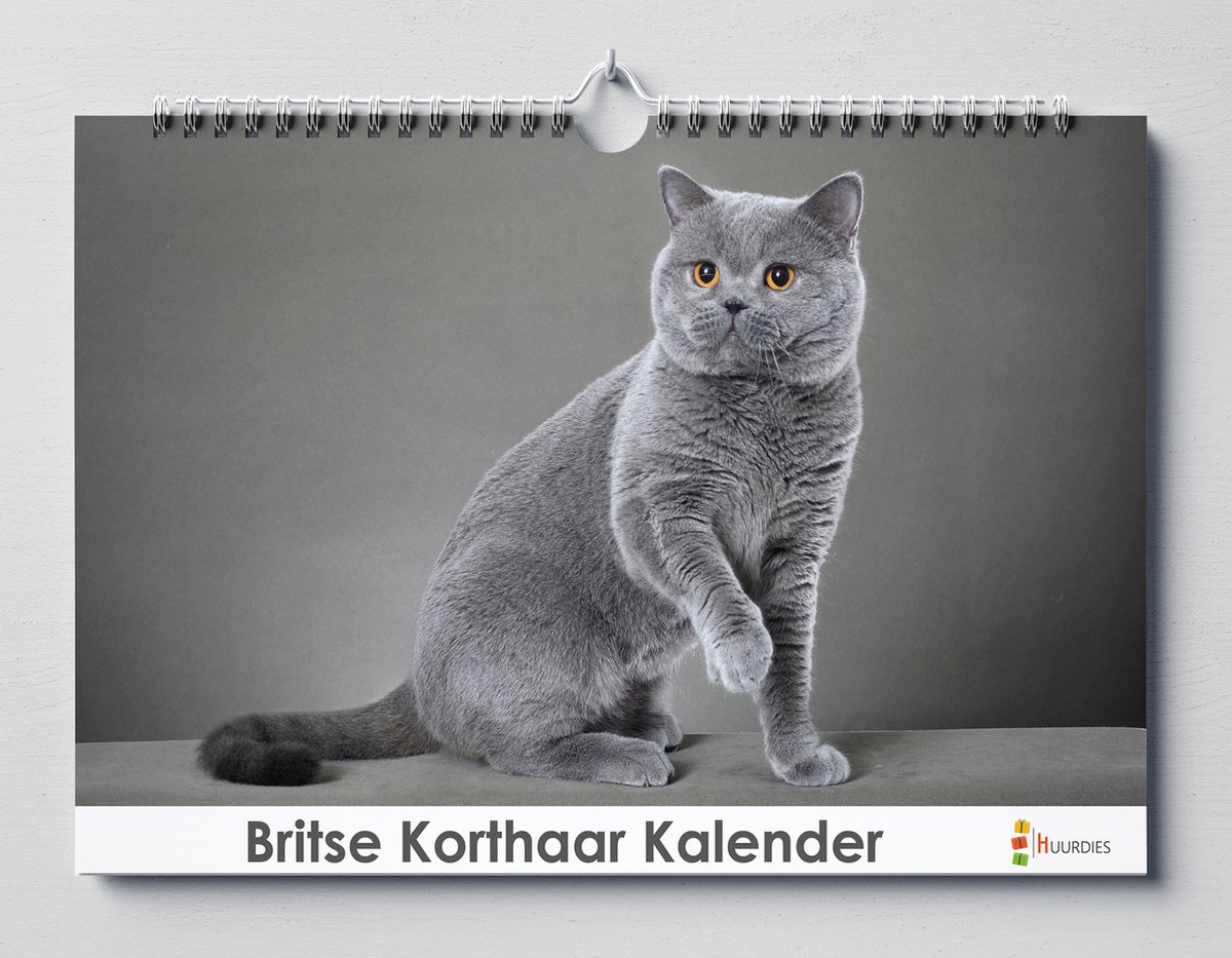 Britste Korthaar verjaardagskalender | 35 X 24CM | Verjaardagskalender katten soort de Britse Korthaar | Verjaardagskalender Volwassenen