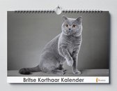 Calendrier des anniversaires British Shorthair | 35X24CM | Calendrier des anniversaires chats genre British Shorthair