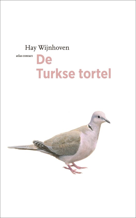 De vogelserie 17 -   De Turkse tortel - Hay Wijnhoven