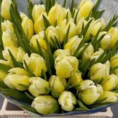 Verse Tulpen -  Yellow - 50 stuks
