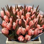 Verse Tulpen -  Pink - 50 stuks