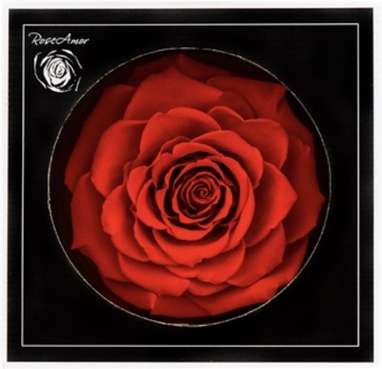 Moederdag tip - Echte Longlife rose Box - minimaal 2 jaar lang - Roos - Longlife Roos 'rood' in Luxe Giftbox - Geen - Love - Eeuwige Roos