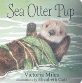 SEA OTTER PUP