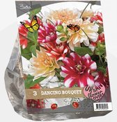 Baltus Urban Flowers Dancing Bouquet bloembollen per 3 stuks