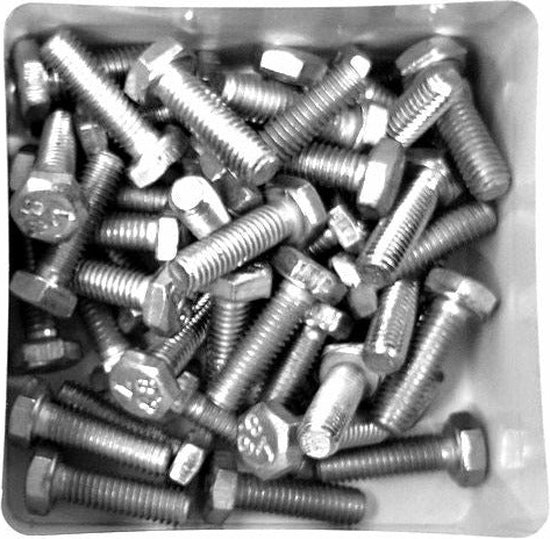 Bofix Zeskant Bout M6 X 20 Mm 50 Stuks (217620) van Bofix — afbeelding 5