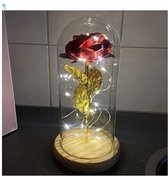 beauty and the beast roos | Gouden Roos in een glazen stolp met LED verlichting | Valentijn cadeautje voor haar |rood | Valentijn decoratie | verjaardag cadeau | voor hem | love |