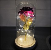 beauty and the beast roos | Gouden Roos in glazen stolp met LED verlichting | Valentijn cadeautje voor haar |pink| Valentijn decoratie | verjaardag cadeau | voor haar | voor hem |