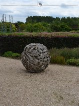 Rode Beuk Fagus sylvatica Atropunicea 125-150 cm Blote wortel, 250x Haagplant