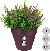 Elho Loft Urban Rond 20 - Pot De Fleurs pour Extérieur - Ø 19.3 x H 17.5 cm - Violet