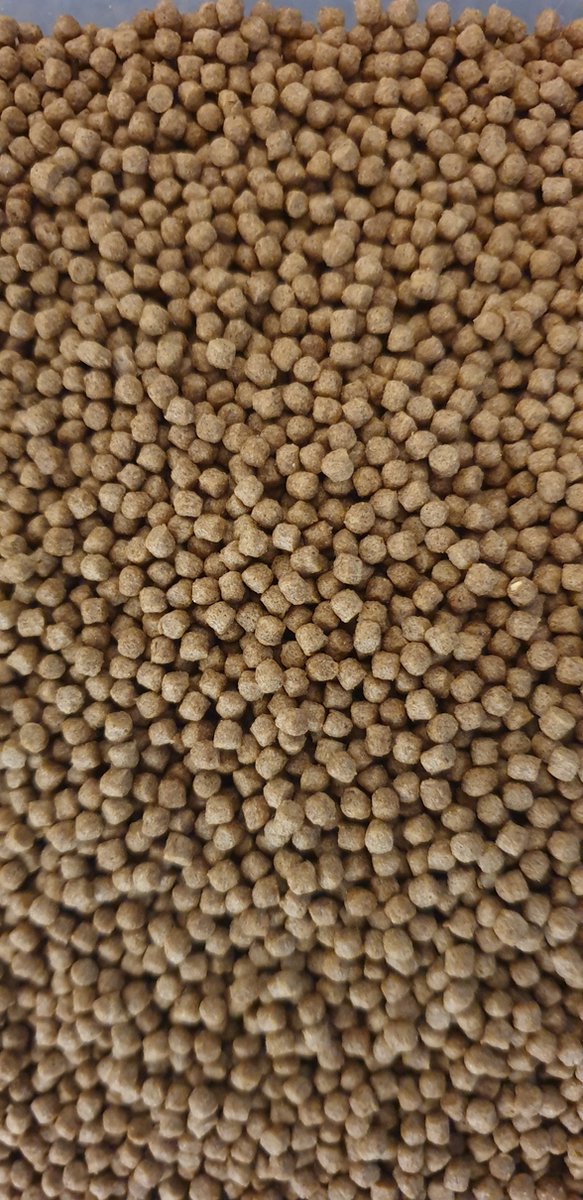 Wheat germ 3 mm 2kg