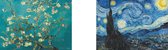 Vincent van Gogh posters - Bloesem - Starry Night - Duo set - Kunst - Aanbieding - 50 x 70 cm