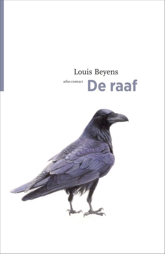 De vogelserie 14 - De raaf